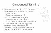Condensed Tannins - University of Rhode Island · Please check with your ... FAMACHA scores (lower is better) on week 4 & 6 ... FAMACHA scores by one whole point : 0.00 1000.00 :