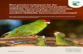 Best practice techniques for the translocation of red … practice techniques for the translocation of red-crowned parakeet (kākāriki, Cyanoramphus novaezelandiae novaezelandiae)