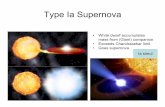 Type Ia Supernova - ODUww2.odu.edu/~skuhn/PHYS313/Supernovae.pdf · The 2015 Long Range Plan for Nuclear Science ... The Type Ia supernova is interpreted as a ... DeadStars.pptx Author: