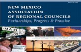 January 2009 NEW MEXICO ASSOCIATION OF … · OF REGIONAL COUNCILS Partnerships, Progress & Promise ... Youth, workers and unemployed ... SBA Small Business Development Center x
