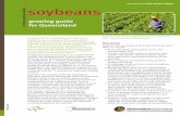 Queensland the Smart State soybeans - Australian Oilseeds€¦ · Farming system update for Queensland Queensland the Smart State ... While nitrogen application may produce taller,