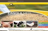 CANOLA MEAL - Cigi · premium edible vegetable oil. The remaining canola meal is a ... EXPORTS AND DOMESTIC USE OF CANOLA SEED AND CANOLA MEAL IN ... , reduce oil viscosity …