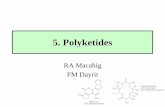 1. Introduction to Natural Products Chemistry · RA Macahig FM Dayrit . 5. Polyketides (Dayrit) 2 ... Polyketides (Dayrit) 4 • The polyketides have great diversity of structures
