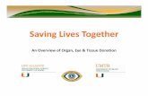 Saving Lives Together - University of Miamisurgery.med.miami.edu/documents/2014_Nurse_Orientation_OET...Saving Lives Together ... Sports Medicine ... 2014 Nurse Orientation OET Presentation-