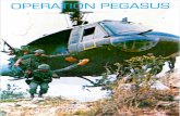 PERA»N PEGASUS - Warehouse 23 including artillery fire, airstikes, ambush and counter-ambush, supply and spotting. All All of these functions are defined by the game rules, which