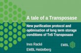 A tale of a Transposase - P4EU · A tale of a Transposase New purification protocol and optimisation of long term storage conditions of Tn5 Transposase Ines Racké EMBL Heidelberg