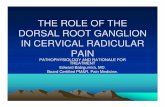 the role of the dorsal root ganglion in[2] · • IASP defines it as pain caused by ectopic ... NCP 72% success at 8 wks, ... the role of the dorsal root ganglion in[2] [Compatibility