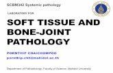 LABORATORY FOR SOFT TISSUE AND BONE-JOINT PATHOLOGY · 2018-02-06 · PATHOLOGY PORNTHIPCHAICHOMPOO ... et.al.Robbins&Cotran pathologic basis of disease.8th ed.2010. Saunders. GOUTY