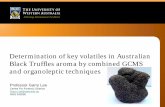 Determination of key volatiles in Australian Black Truffles€¦ · Determination of key volatiles in Australian Black Truffles aroma by combined GCMS ... Project Summary. ... (divinyl