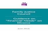 Guidance on “Financial Needs” on Divorce - Judiciary the jurisdiction in such cases. ... (i.e. “needs-based” cases); (ii) to provide a clear statement of the ... the judiciary
