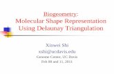 Biogeometry: Molecular Shape Representation Using …web.cs.ucdavis.edu/~amenta/w11/cg-lectures.pdf · Biogeometry: Molecular Shape Representation Using Delaunay Triangulation Xinwei