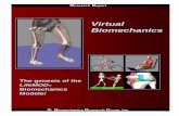 Virtual Biomechanics - MSC Software Brochure.pdf · clinical professionals and commercial companies, to study human movement and to develop products used by, on, for and in humans.