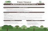 Tree Trails 5 - Texas A&M Forest Service Home Pagetexasforestservice.tamu.edu/uploadedFiles/TFSMain/Learn_and_Explor… · • Tree Trails Portfolio, ... Graphic Organizer to illustrate