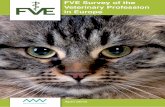 VETERINARIANS ARE EVERYWHEREfve.org/news/download/FVE Survey _contents_tforce_ex_summary.pdf · FVE Survey of the Veterinary Profession in Europe Page 2 Mirza & Nacey Reserach Ltd