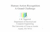 Human Action Recognition A Grand Challenge - iceis.org · Human Action Recognition A Grand Challenge ... • Robot/Human interaction ... A hierarchical framework for recognizing human