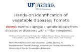 Hands&on(iden+ﬁcaon(of(( vegetable(diseases:(Tomato(plantpath.ifas.ufl.edu/u-scout/Tutor_files/IST_Tomato_2015_C.pdf · Hands&on(iden+ﬁcaon(of((vegetable(diseases:(Tomato(Theme:
