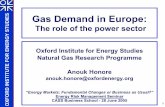 Gas Demand in Europe: OXFORD INSTITUTE FOR ENERGY STUDIES · OXFORD INSTITUTE FOR ENERGY STUDIES 1 ... in Russian-Belarusian Relations, ... commercial and industrial gas demand (except