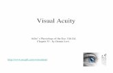 Visual Acuity Acuity • Minimum Recognizable Acuity - angular size of the smallest Feature that one can recognize or identify Snellen Chart block letters 5 times stroke size. normal