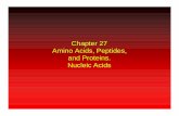 Chapter 27 Amino Acids, Peptides, and Proteins. Nucleic Acids · 2001-10-04 · Amino Acids NH 3 + CO 2 – an an α-amino acid that is an intermediate in the biosynthesis of ethylene