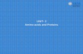 UNIT 2 Amino and Proteins - SRM Institute of Science and … · Amino acids and Proteins. Significance of Proteins 1. Keep the cells and tissues growing, renewing and mending 2. Take