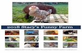 2018 Stacy’s Funny Farm 2018 · Stacy's Funny Farm is a §501(c)(3) organization. Visit us at  2018 Stacy’s Funny Farm 2018