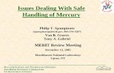 Issues Dealing With Safe Handling of Mercury · Issues Dealing With Safe Handling of Mercury Philip T. Spampinato (spampinatop@ornl.gov, 865-576-5267) Van B. Graves ... repackaging