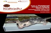 Guide to threatened species of Kakadu National Park including other … · 2018-02-06 · species of Kakadu . National Park. including other plants and animals of interest. ... Guide