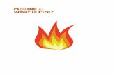 Module 1: What is Fire? - OSU Extension Catalog · Module 1: What is Fire? Wildland Fire History ... that forest fires threatened commercial timber ... shrub, and grass due to the