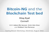 Bitcoin-NG and the · Bitcoin-NG and the Blockchain Test bed Scaling Bitcoin Workshop, Montréal, ... sudo iptables -A FORWARD -i ethTPECCA j- DETALER,DEHSILBATSE,WEN etats-- etats