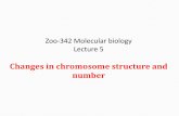 Changes in chromosome structure and numberfac.ksu.edu.sa/sites/default/files/lecture_5_molecular... · 2016-11-06 · Variation in chromosome structure: an overview Changes in chromosome