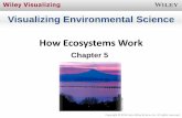 How Ecosystems Work - Palm Beach State College · Chapter 5 Copyright © 2014 John Wiley & Sons, Inc. All rights reserved. ... © 2014 John Wiley & Sons, Inc. All rights reserved.