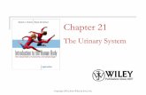 Human Anatomy & Physiology II - Classroom Websites Physiology... · Copyright 2010 John Wiley & Sons, Inc. All rights reserved. ... Human Anatomy & Physiology II ... 5/2/2014 2:10:31