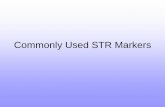 Commonly Used STR Markers - University of Vermontbiology/Classes/296D/5_Common_STR.pdfCommonly Used STR Markers. Repeats ... • Both alleles are very similar in size ... • A linker