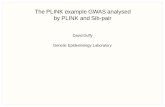 The PLINK example GWAS analysed by PLINK and … PLINK example GWAS analysed by PLINK and Sib-pair David Duffy Genetic Epidemiology Laboratory Introduction • Overview of development