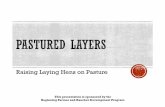 Raising Laying Hens on Pasture · 2018-05-14 · Most hens stop laying in winter (because of the change in daylight hours) ... Chicks are shipped in cardboard boxes designed to keep