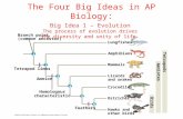 The Four Big Ideas in AP Biology: - Ningapi.ning.com/files/2c9X0G35sD5OIPb*U2pi-i7j3-swfaW96… · PPT file · Web view2017-05-28 · The Four Big Ideas in AP Biology: Big Idea 1