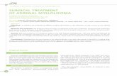 SURGICAL TREATMENT OF ADRENAL MYELOLIPOMA TREATMENT OF A… · Conclusions: Myelolipomas are rare diseases of the adrenal glands, ... Surgical Treatment of Adrenal Myelolipoma CT-image