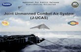 Joint Unmanned Combat Air System (J(J-UCAS)-UCAS) · Joint Unmanned Combat Air System (J ... – Servicing (Turnaround & Maintenance) ... • Case I, II and III Patterns