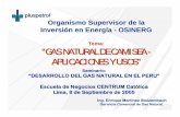 Tema: “GAS NATURAL DE CAMISEA - osinerg.gob.pe · desarrollo del gas natural en el peru seminario “gas natural de camisea - aplicaciones y usos” 1) el gas natural de camisea