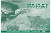 NEW HAMPSHIRE FISH AND GAME DEPARTMENT • … · this plan span the period 2016-2025 and are summarized in the ... 2017 NEW HAMPSHIRE WILDLIFE HARVEST SUMMARY • 7 WHITE-TAILED