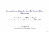 International Liquidity and Exchange Rate Dynamics Liquidity and Exchange Rate ... International Liquidity
