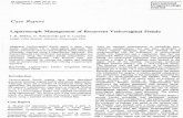 Laparoscopic Management of Recurrent Vesicovaginal Fistula · Laparoscopic Management of Recurrent Vesicovaginal Fistula ... eds. Te Linde's operative gynecology, ... Laparoscopic