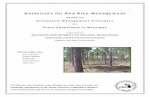 Guidelines for Red Pine Management - michigan.gov · Guidelines for Red Pine Management based on Ecosystem Management Principles for State Forestland in Michigan Prepared by the .
