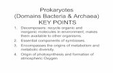 Prokaryotes (Domains Bacteria & Archaea) KEY POINTShome.sandiego.edu/.../Website/Lectures/2015_module2_print1.pdf · Prokaryotes (Domains Bacteria & Archaea) KEY POINTS 1. ... General