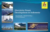 Electricity Power Development in Indonesia 198 MW Sulawesi Hydro 220 MW Geothermal 60 MW Steam-turbine 100 MW Gas-turbine 123 MW 567 MW IPP 384 MW TOTAL 11,409 MW Kalimantan Hydro