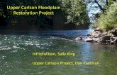 Public presentation: Upper Carlson Levee Floodplain ...your.kingcounty.gov/dnrp/library/water-and-land/habitat... · waters and sediment through . ... Upper Carlson Floodplain Restoration