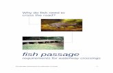 Why do fish need to cross the road booklet · Why do fish need to cross the road? ... across Australia; ... reduced opportunities for fish passage over a wide range of flow