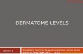 Dermatome Levels - IFNA - The International Federation of …ifna.site/ifna/e107_files/downloads/lectures/6Dermato.ppt · PPT file · Web viewDermatome Levels. Common operative sites