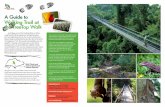 A Guide to Walking Trail at the TreeTop Walk/media/nparks-real-content/gardens... · delight in having a bird’s eye view of the forest ... Opening hours: Weekdays: 9:00am to 5:00pm