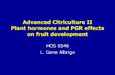 Advanced Citriculture II Plant hormones and PGR effects … · Advanced Citriculture II Plant hormones and PGR effects ... extraction • Hormonal changes ... • Neutral auxins were